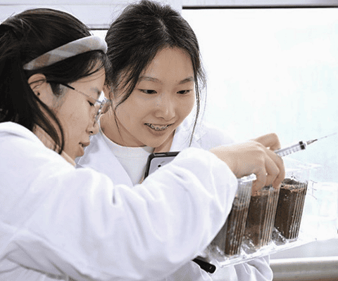 Students participating in Samsung Solve for Tomorrow are working together to develop their projects.